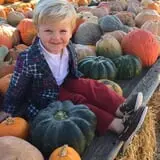 Sullivan Farms Pumpkin Patch photo