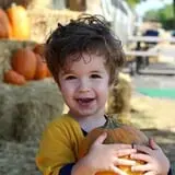 Sullivan Farms Pumpkin Patch photo
