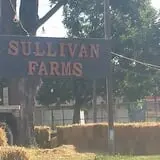 Sullivan Farms Pumpkin Patch photo