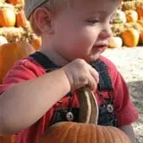 Sullivan Farms Pumpkin Patch photo