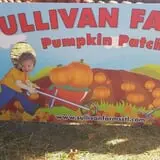 Sullivan Farms Pumpkin Patch photo