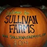 Sullivan Farms Pumpkin Patch photo