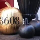 Sullivan Farms Pumpkin Patch photo