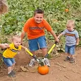 Apple Annie's Pumpkins & Corn Maze photo