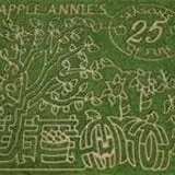 Apple Annie's Pumpkins & Corn Maze photo