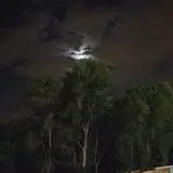 Nightfall Haunted Territory photo