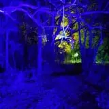 Nightfall Haunted Territory photo