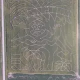Pumpkinville & Corn Maze photo