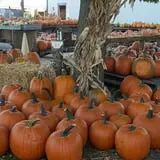 Pumpkinville & Corn Maze photo