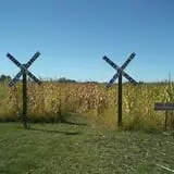 Pumpkinville & Corn Maze photo