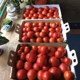 Meservey Farms photo