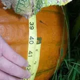 Meservey Farms photo