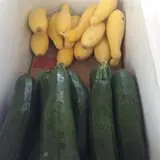 Meservey Farms photo
