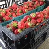 Meservey Farms photo