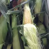 Meservey Farms photo