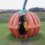 Gene The Pumpkin Man photo