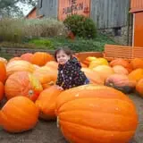Gene The Pumpkin Man photo
