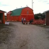 Gene The Pumpkin Man photo