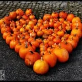 Gene The Pumpkin Man photo