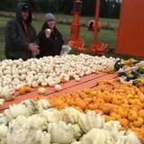 Gene The Pumpkin Man photo