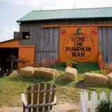Gene The Pumpkin Man photo