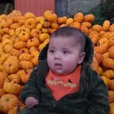 Gene The Pumpkin Man photo