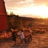 Gene The Pumpkin Man photo