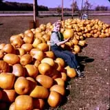 Gene The Pumpkin Man photo