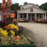 Gene The Pumpkin Man photo