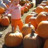 Gene The Pumpkin Man photo