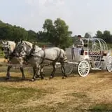 Center Creek Orchard photo