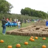 Center Creek Orchard photo