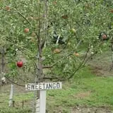 Center Creek Orchard photo