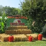 Center Creek Orchard photo