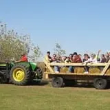 Center Creek Orchard photo