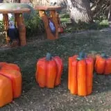 Center Creek Orchard photo