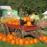 Center Creek Orchard photo