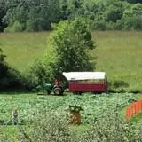 Center Creek Orchard photo