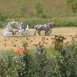 Center Creek Orchard photo