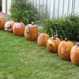 Center Creek Orchard photo