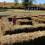 Center Creek Orchard photo