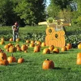 Center Creek Orchard photo
