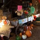 Anderson's Pleasant Patch Pumpkins photo