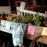 Anderson's Pleasant Patch Pumpkins photo