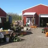 Anderson's Pleasant Patch Pumpkins photo