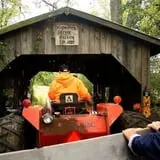 Anderson's Pleasant Patch Pumpkins photo