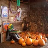 Anderson's Pleasant Patch Pumpkins photo