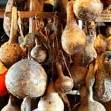 Anderson's Pleasant Patch Pumpkins photo