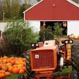 Anderson's Pleasant Patch Pumpkins photo