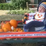 Anderson's Pleasant Patch Pumpkins photo
